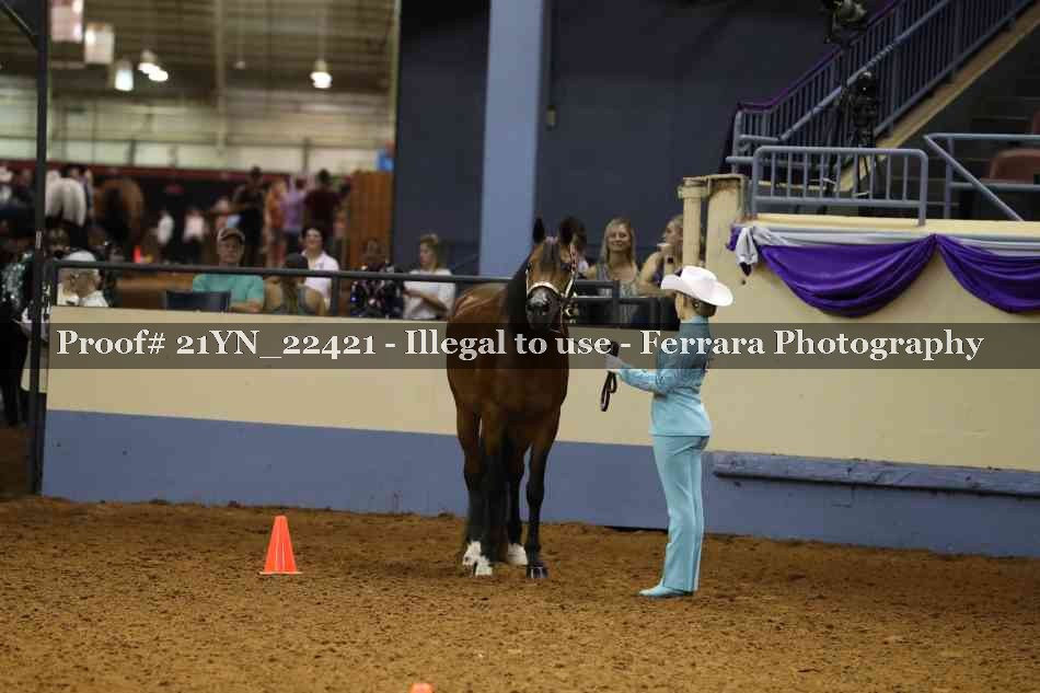 Proof 21YN_22421