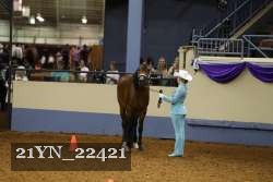 21YN_22421 proof