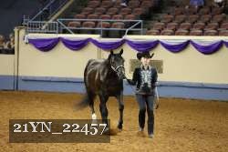 21YN_22457 proof