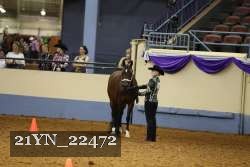 21YN_22472 proof