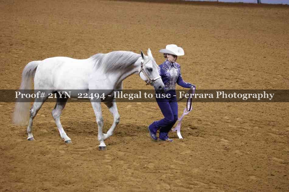Proof 21YN_22494