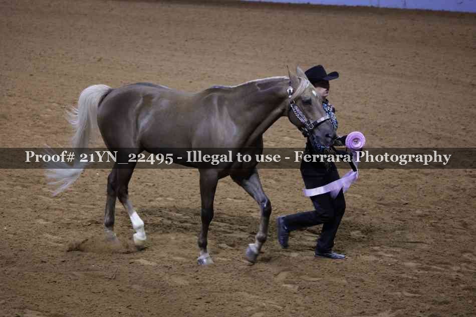Proof 21YN_22495