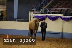 21YN_23000 proof