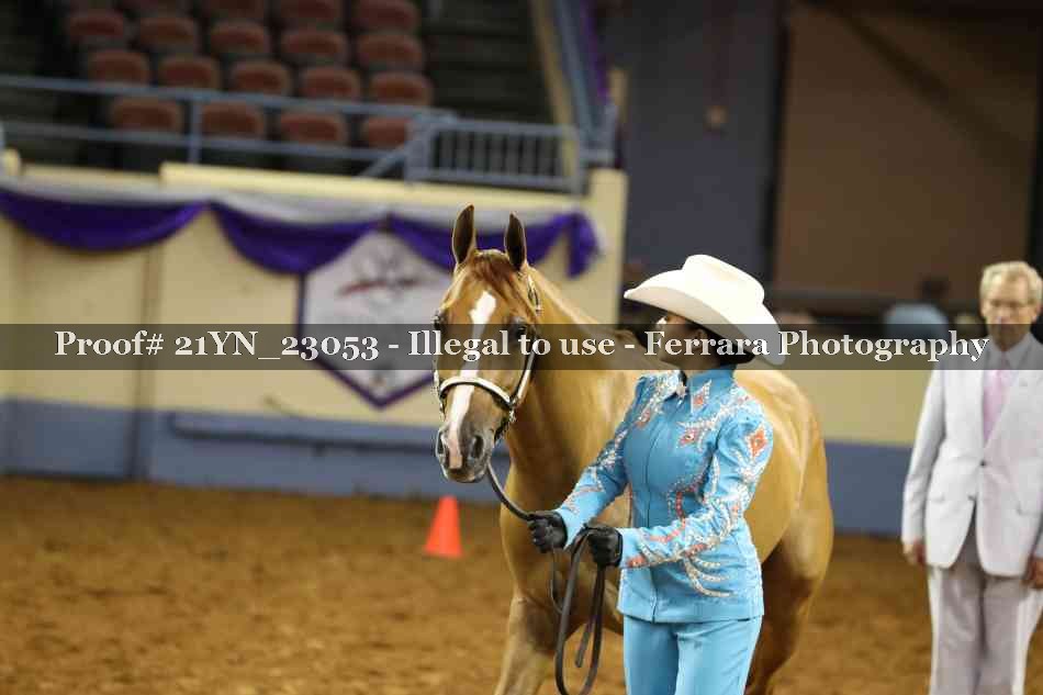 Proof 21YN_23053