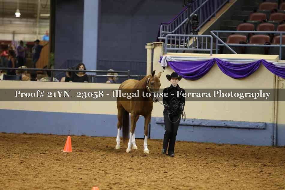 Proof 21YN_23058