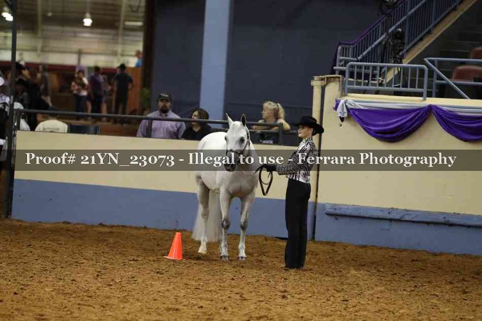 Proof 21YN_23073