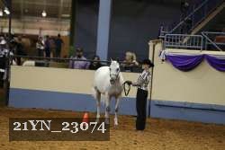 21YN_23074 proof