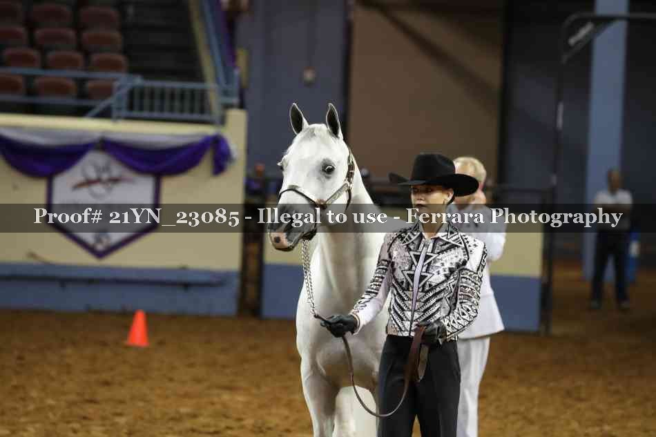 Proof 21YN_23085