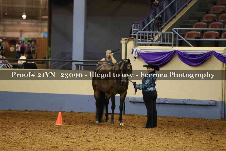 Proof 21YN_23090