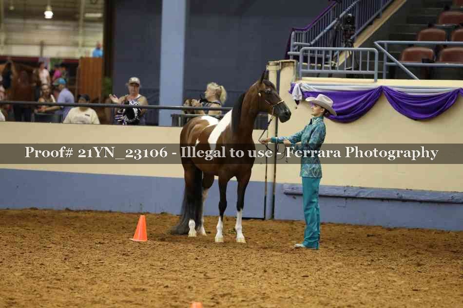 Proof 21YN_23106