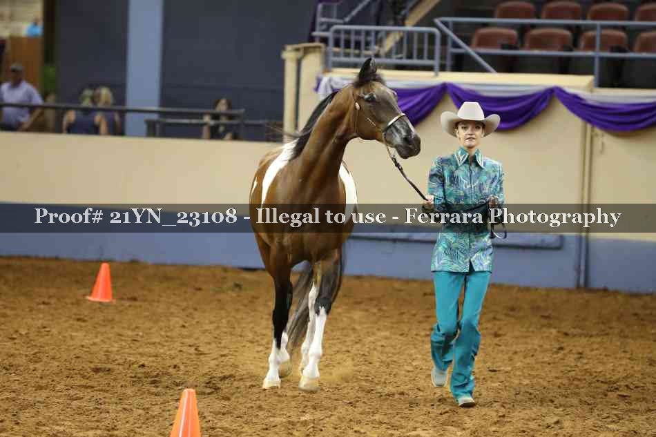 Proof 21YN_23108