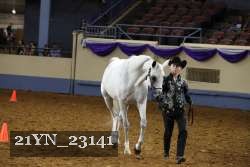 21YN_23141 proof