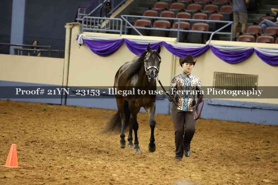 Proof 21YN_23153