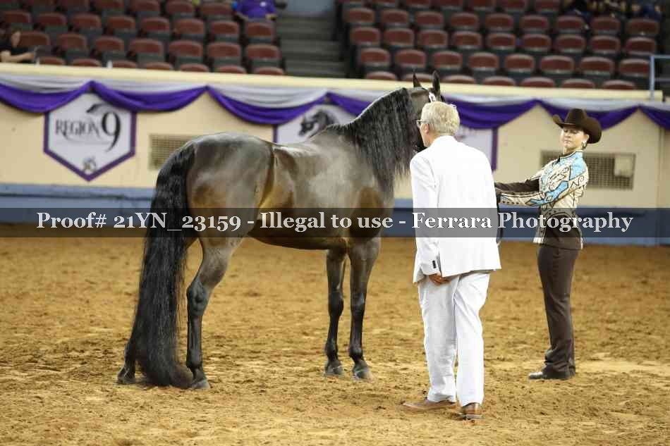 Proof 21YN_23159