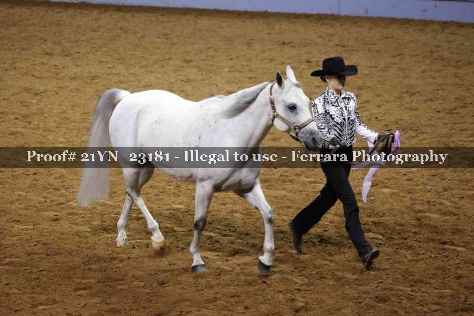 Proof 21YN_23181
