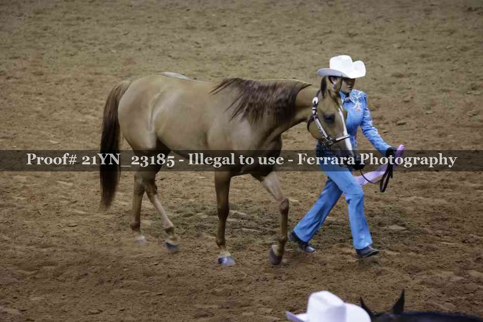 Proof 21YN_23185