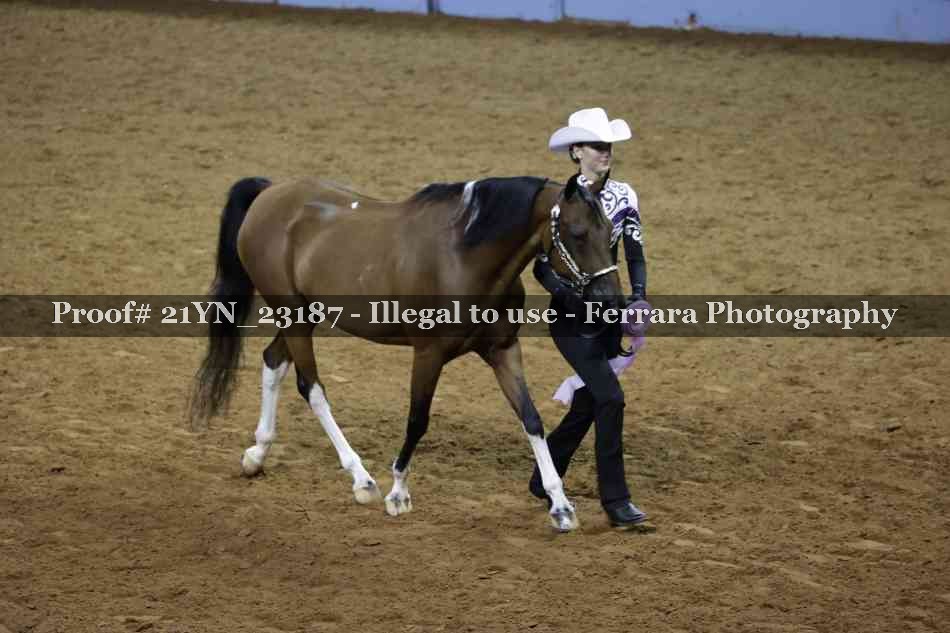 Proof 21YN_23187