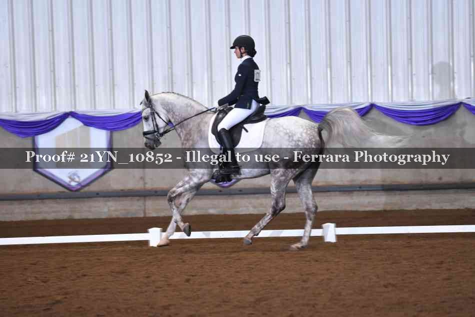 Proof 21YN_10852
