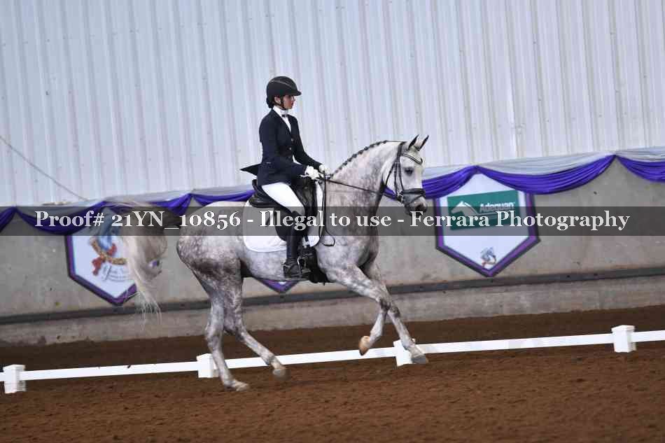 Proof 21YN_10856