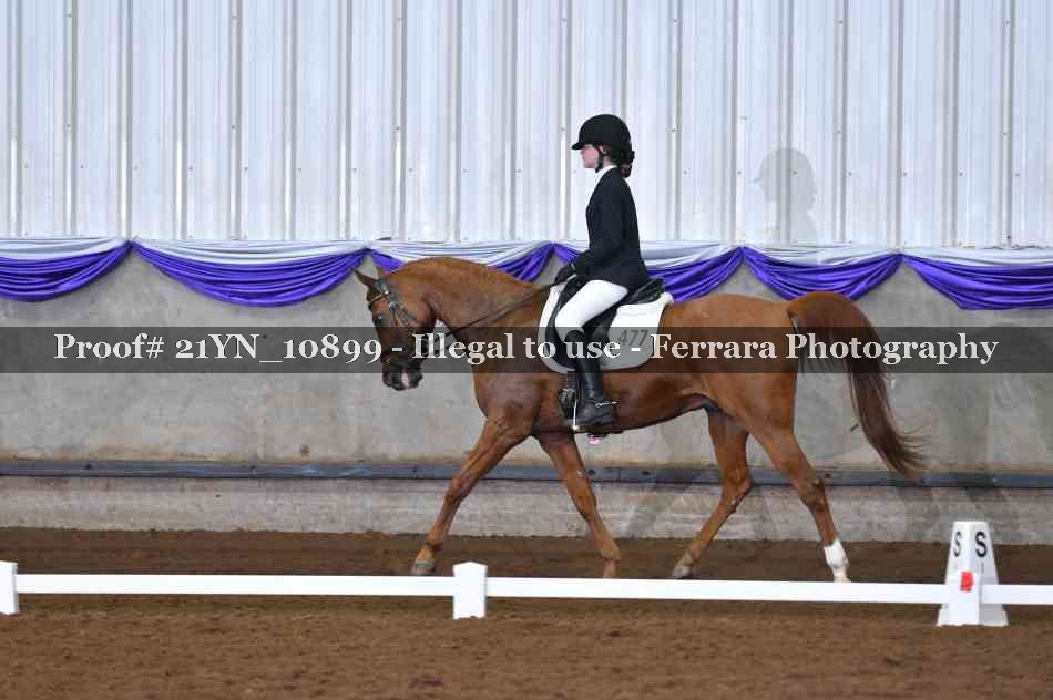 Proof 21YN_10899