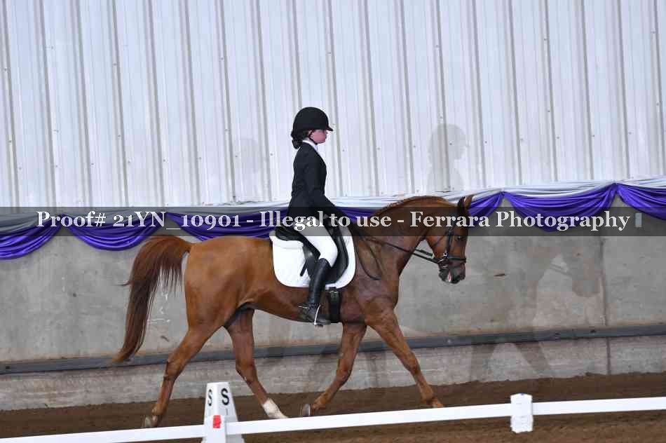 Proof 21YN_10901