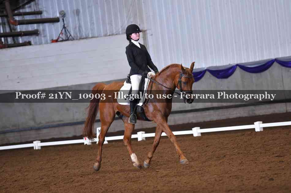 Proof 21YN_10903