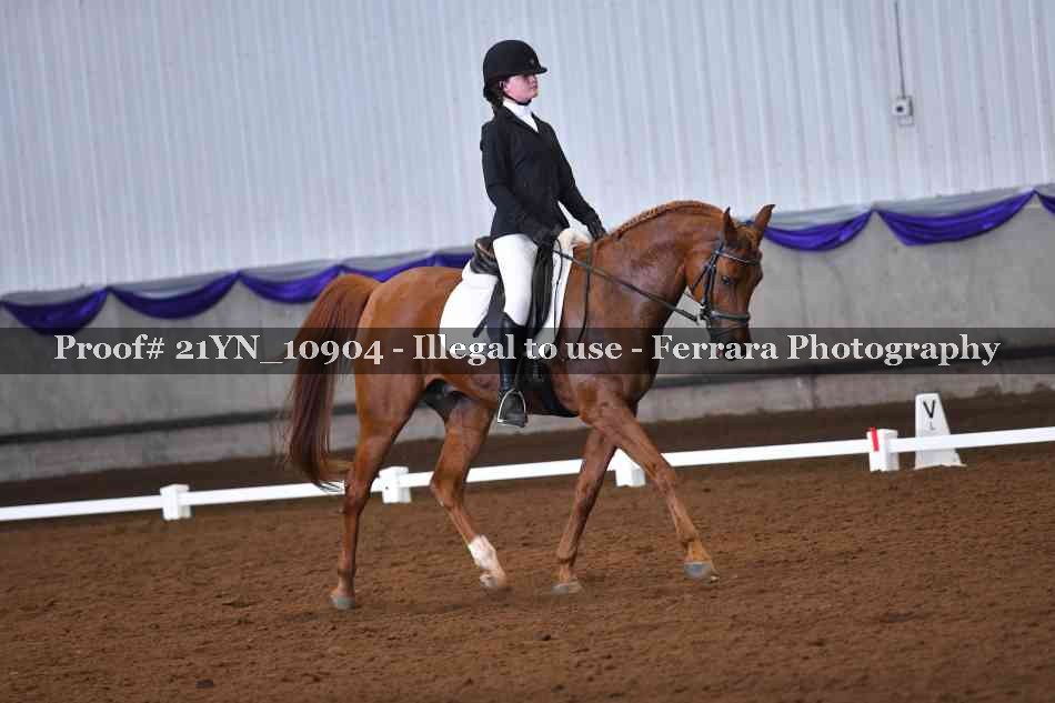 Proof 21YN_10904