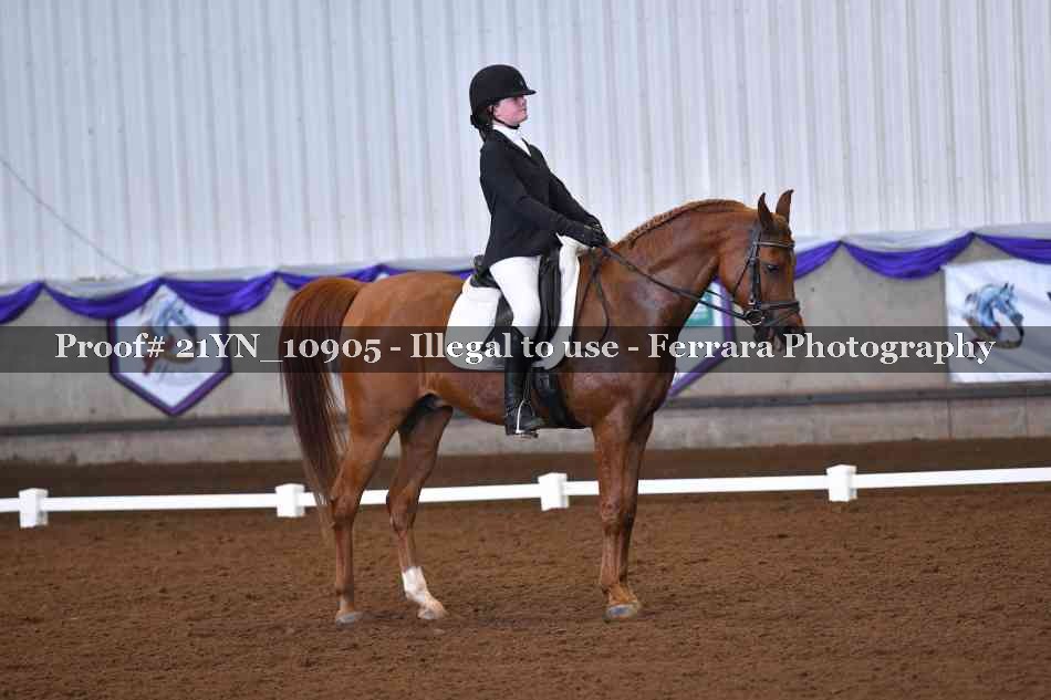 Proof 21YN_10905