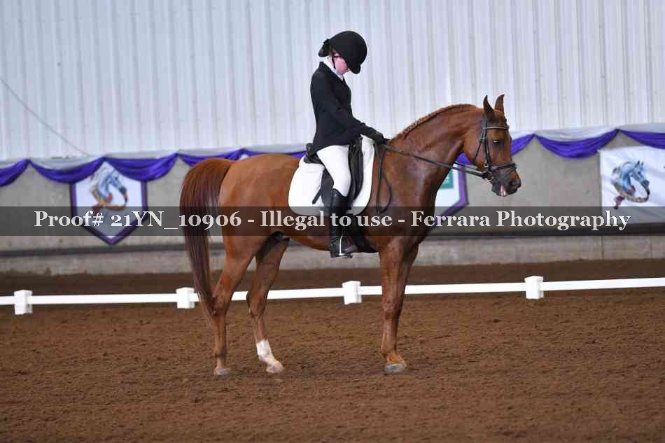 Proof 21YN_10906