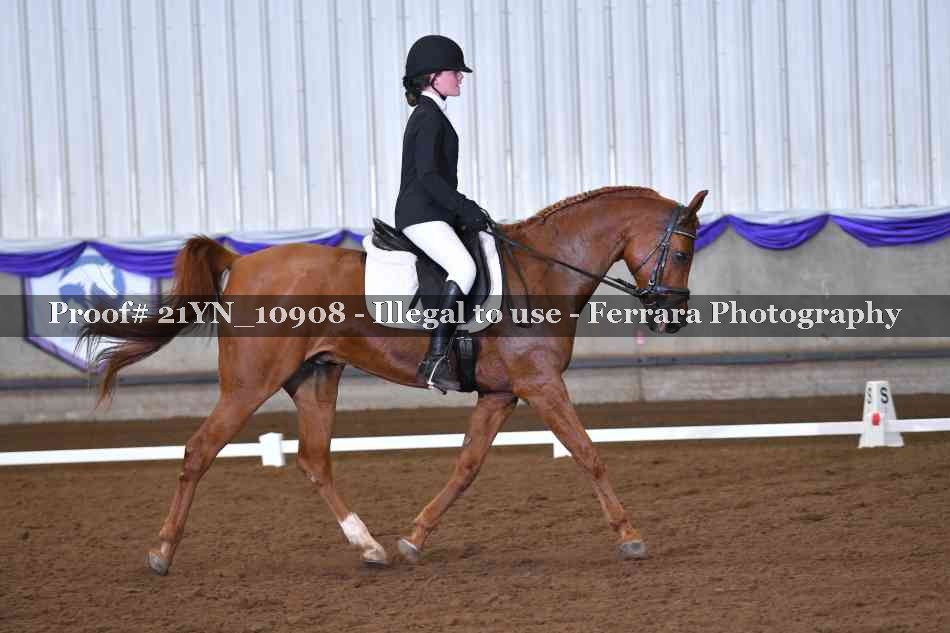 Proof 21YN_10908