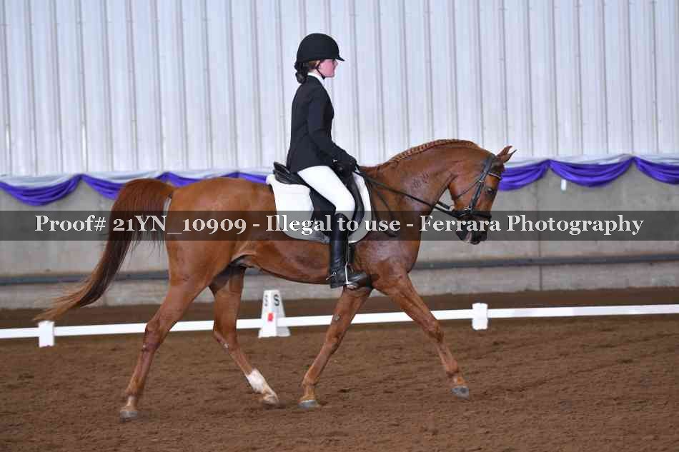 Proof 21YN_10909