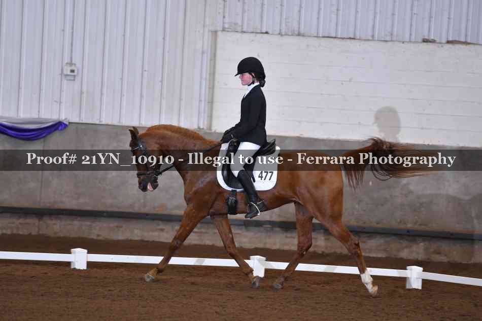 Proof 21YN_10910