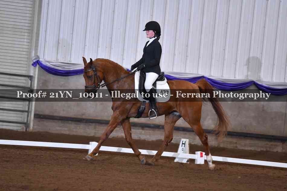 Proof 21YN_10911