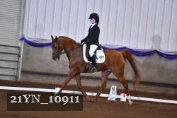 21YN_10911 proof