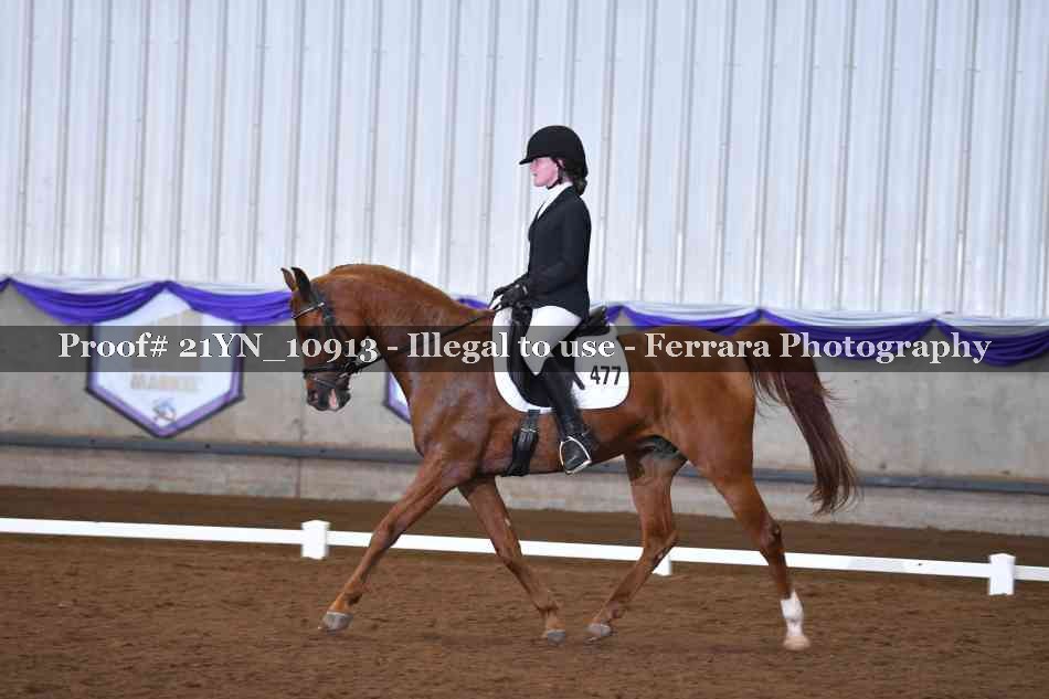 Proof 21YN_10913