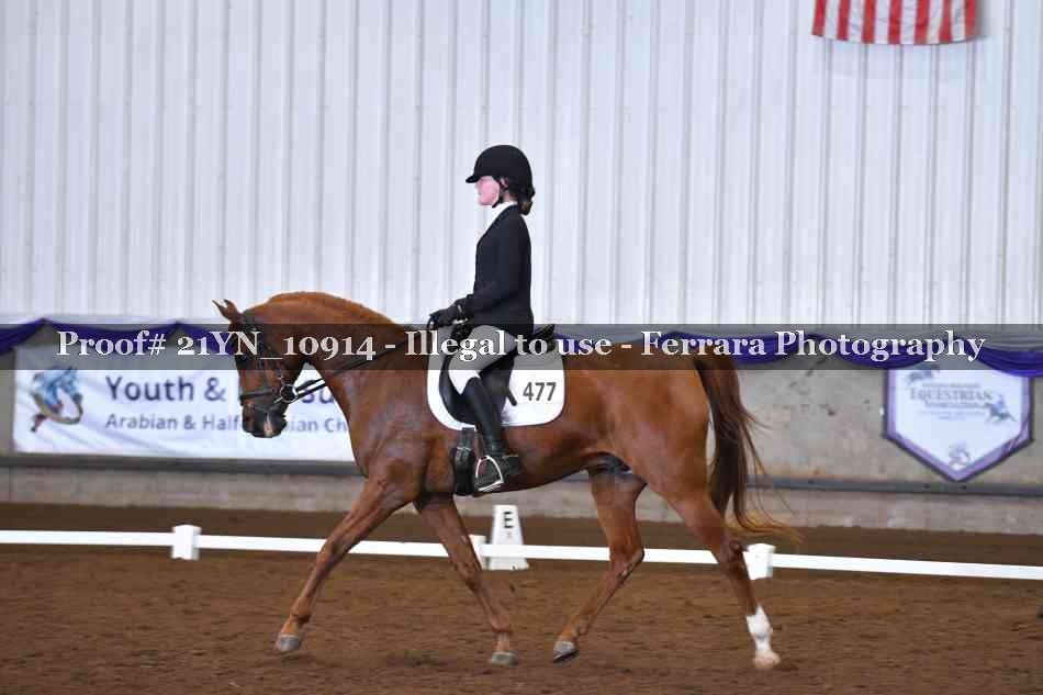 Proof 21YN_10914