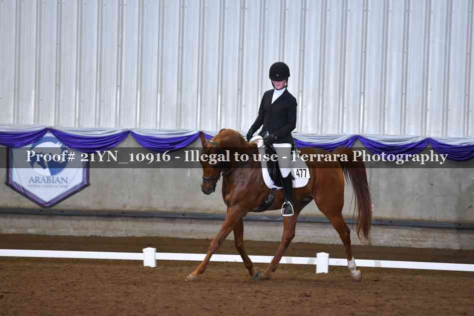Proof 21YN_10916