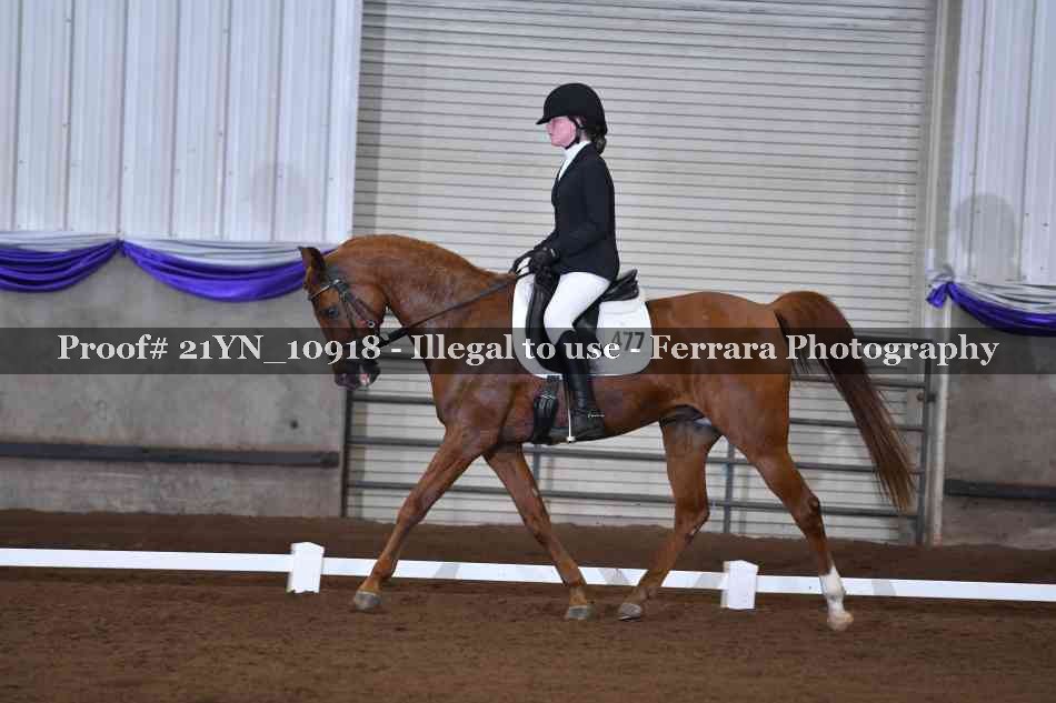Proof 21YN_10918