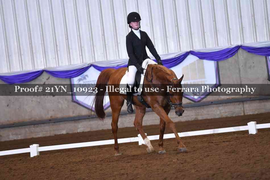 Proof 21YN_10923