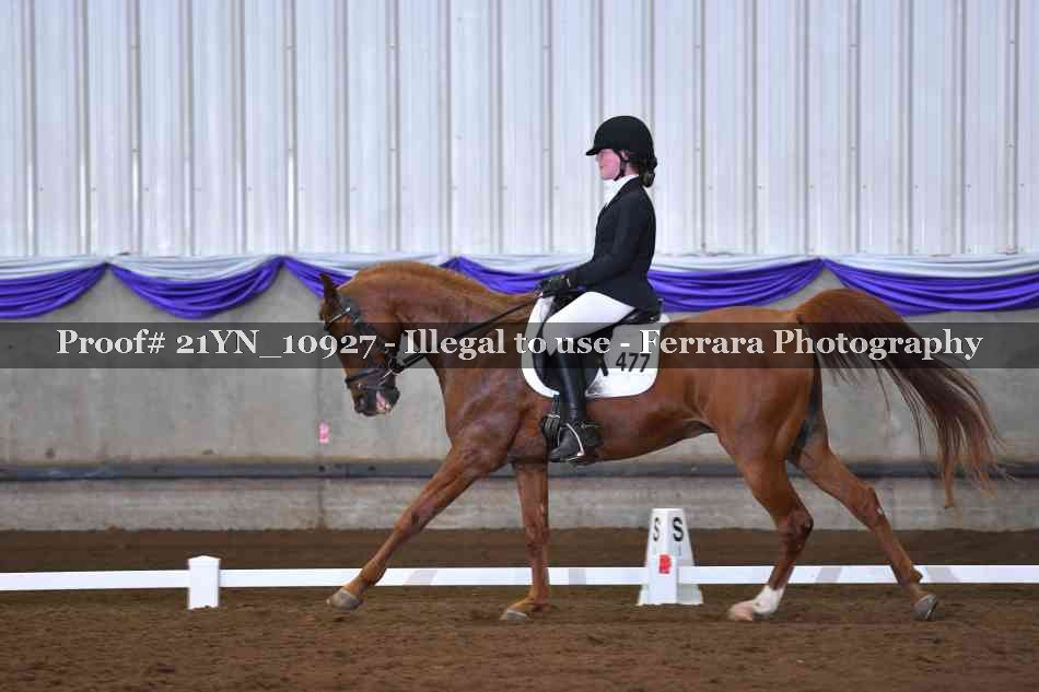 Proof 21YN_10927
