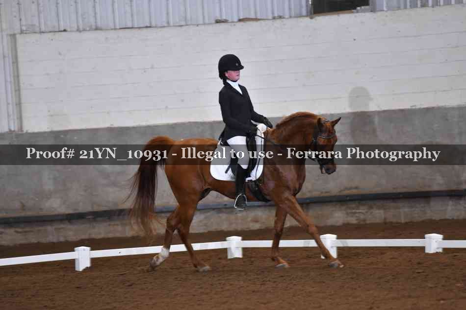 Proof 21YN_10931