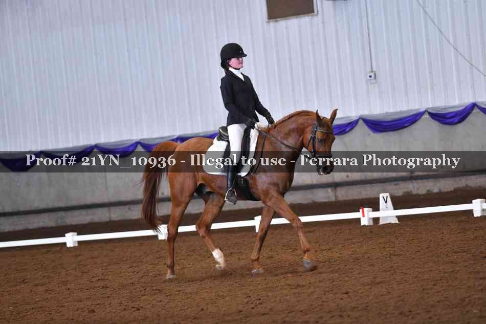 Proof 21YN_10936