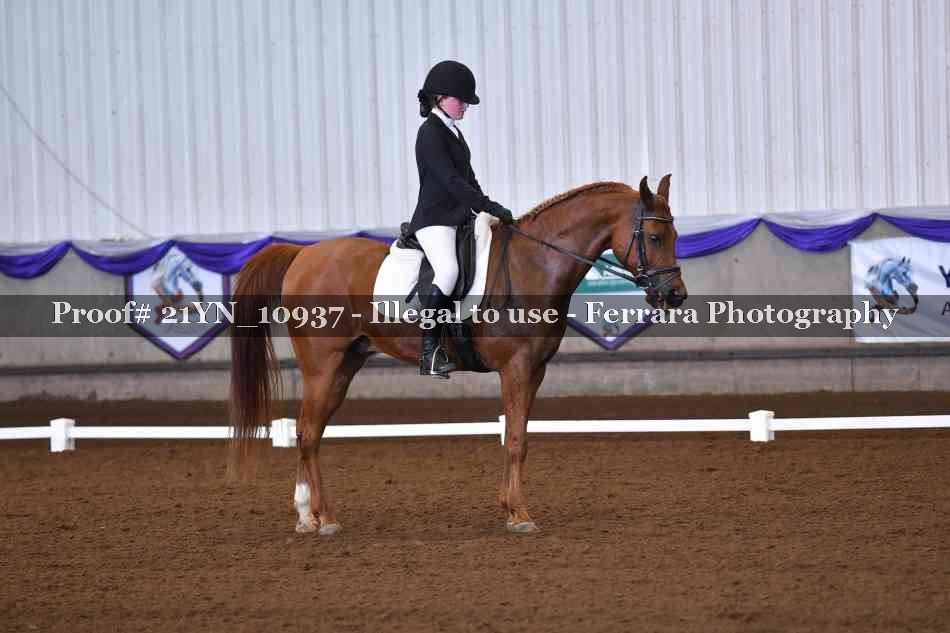 Proof 21YN_10937