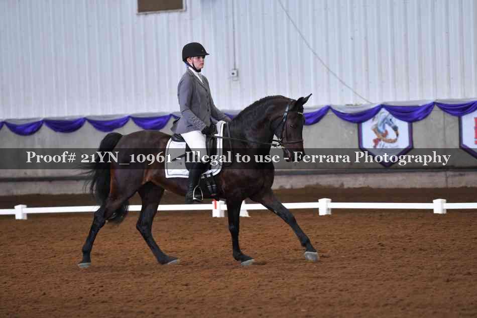Proof 21YN_10961