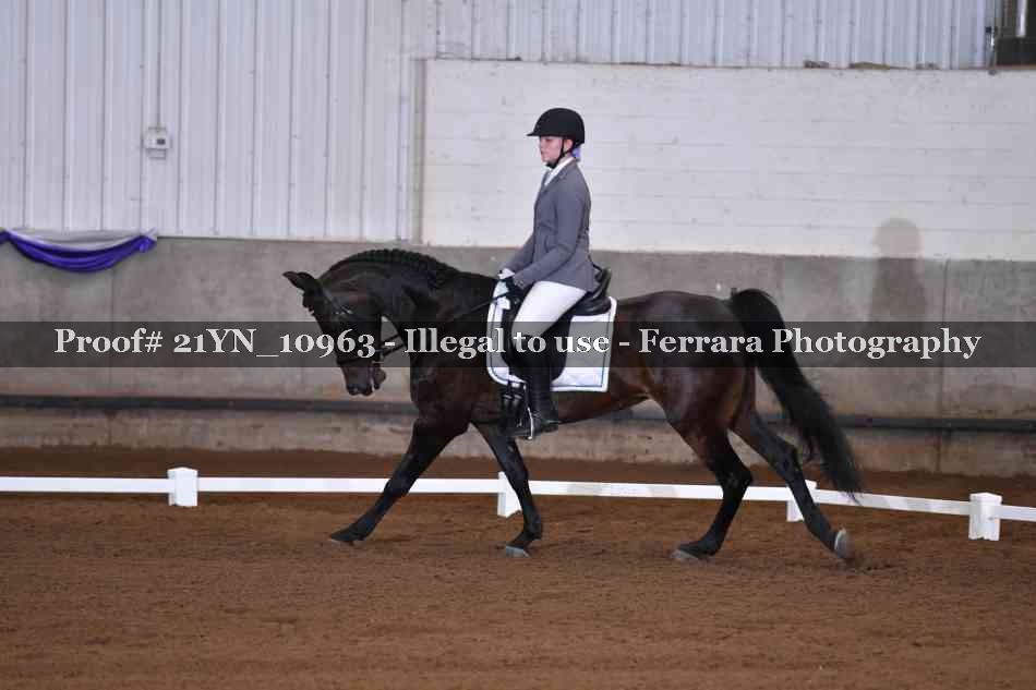 Proof 21YN_10963