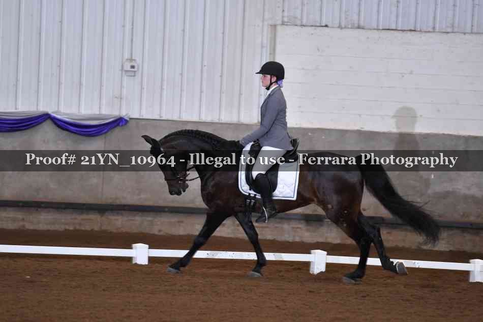 Proof 21YN_10964