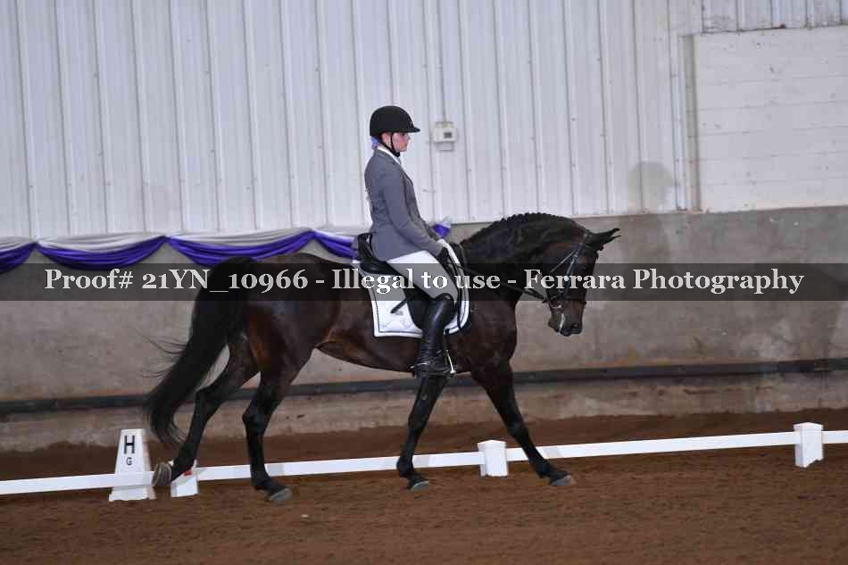 Proof 21YN_10966