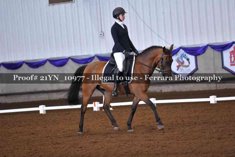 Proof 21YN_10977