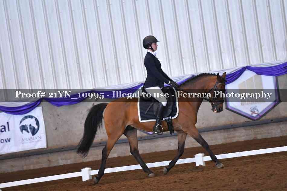 Proof 21YN_10995