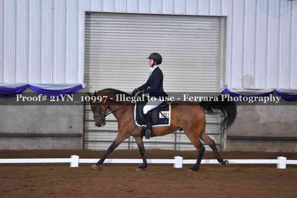 Proof 21YN_10997